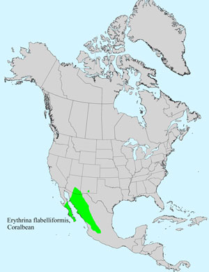 North America species range map for Coralbean, Erythrina flabelliformis: